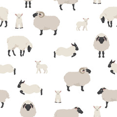 Sheep poses seamless pattern. Farm animals set. Flat design