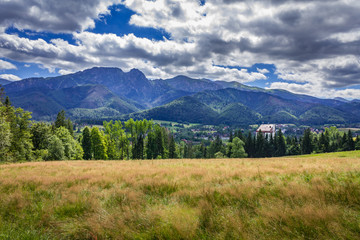 Obraz premium Surroundings of the city of Zakopane. View of the Tatra Mountains.