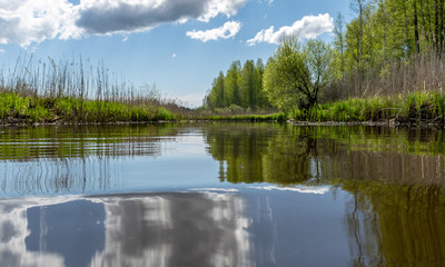 Obraz premium spring landscape with a beautiful calm river, green trees and grass on the river bank, peaceful reflection in the river water