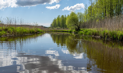 Fototapeta premium spring landscape with a beautiful calm river, green trees and grass on the river bank, peaceful reflection in the river water