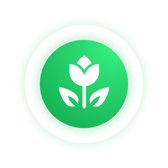 Flower -  Icon