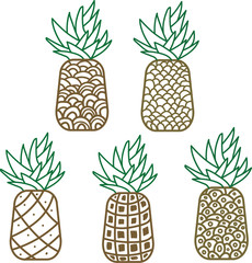 set of pineapple fruit
