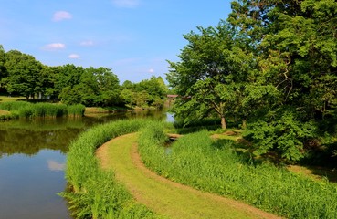 道　新緑　空　風景　茨城