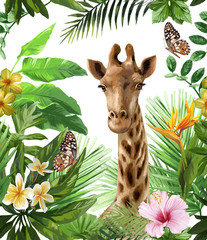 Print with tropical flowers, leaves and giraffe on a white background. - 353099259