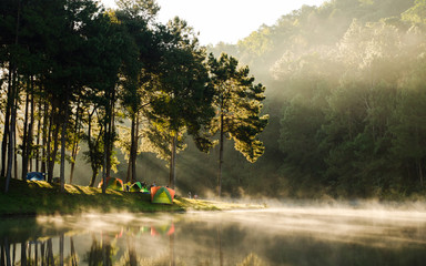 Reflection of sunrise and mist