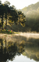 Reflection of sunrise and mist