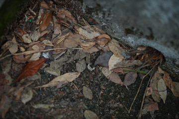 White old cement wall concrete backgrounds textured. Abstract vintage texture. Background from cracks, breaks, stains. Grunge cracks, damage