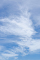 fluffy cloud on blue sky