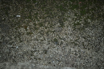 White old cement wall concrete backgrounds textured. Abstract vintage texture. Background from cracks, breaks, stains. Grunge cracks, damage