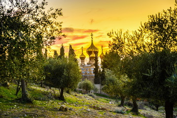 Olive trees with Russian church of Mary Magdalene - Mount of Olives, Jerusalem