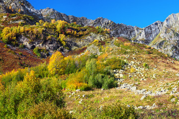 autumn mountain landscape