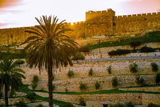 The sealed Golden Gate of Jerusalem, also called Mercy Gate, where Jesus entered Jerusalem, with palm tree in the foreground