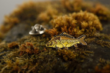 Badge of fish (carp) skin on stone covered with moss