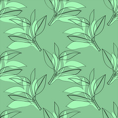 Seamless pattern Tree laurel .Image on a white and colored background.