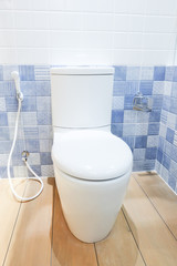 White toilet bowl in a bathroom