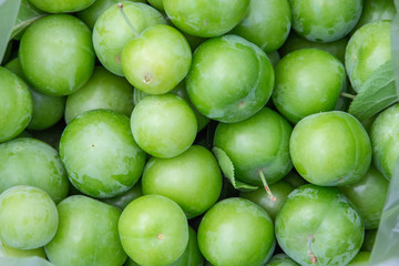 Green plum texture full background view