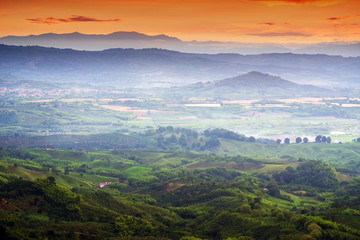 Naklejka premium Coffee and banana plantations near Buenavista, Antioquia, Colombia