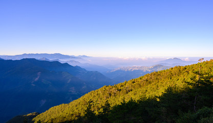Hehuanshan Mountain Peak, Taiwan, Taroko National Park with fog and yellow/green tree