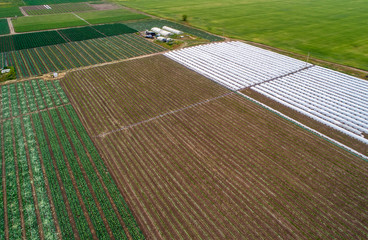 Aerial view of greenhouse and vegetables fields in small farming area. Agricultural field from above.