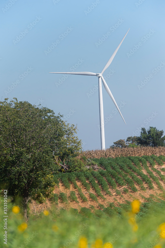 Aufkleber green garden with windmill turbine fields in the background