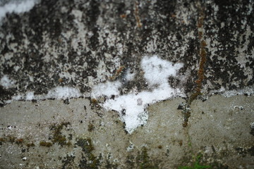 White old cement wall concrete backgrounds textured. Abstract vintage texture. Background from cracks, breaks, stains. Grunge cracks, damage