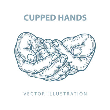 Сupped hands. Hands cupped together sketch drawing vector illustration. Charity, care, protect and poverty concept. Part of set.