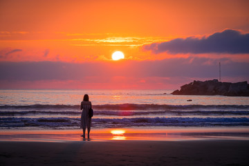 Fototapeta premium Precioso atardecer a la orilla del mar en la playa un hermoso dia de verano para caminar con el perro o en pareja