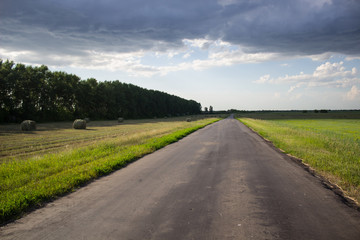 Fototapeta na wymiar A road in a green field in rural Siberia.
