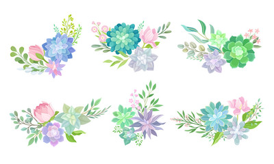 Floral Arrangements with Succulent Echeveria and Branches Vector Set