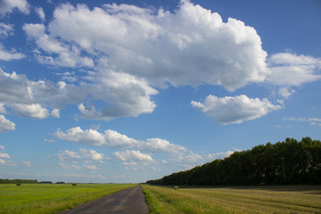 A road in a green field in rural Siberia.