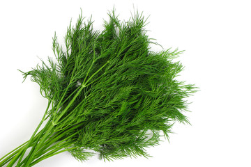 A bundle of Fresh dill on white background close up