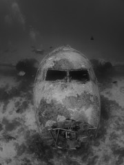 
sunken plane on the Caribbean island, Aruba
