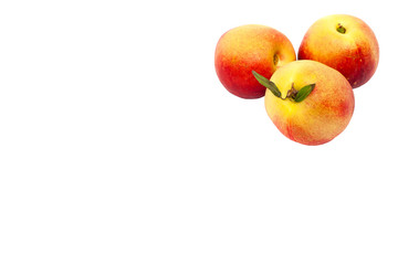 three ripe yellow and red nectarines with green leaves isolated on a white background