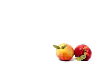 two ripe yellow and red nectarines with green leaves isolated on a white background