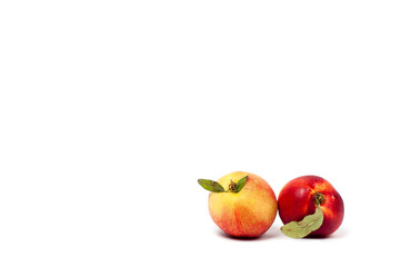 two ripe yellow and red nectarines with green leaves isolated on a white background