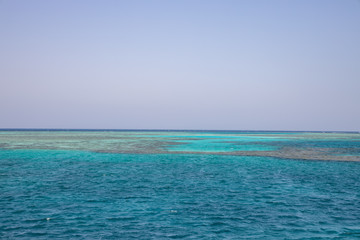 Obraz premium Multicolored corrals. Corral reefs over water in Jaz 'ir Jift n, egypt