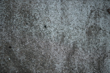 White old cement wall concrete backgrounds textured. Abstract vintage texture. Background from cracks, breaks, stains. Grunge cracks, damage
