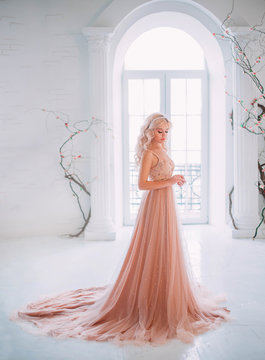 beautiful elegant blond woman princess standing. Model in white interior classic vintage medieval room french window columns, black tree branches artificial flowers. Beige peach nude color long dress