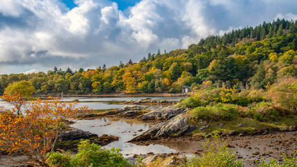 Fototapeta na wymiar autumn colour in Glenborrowdale Bay, Ardnamurchan Peninsula,