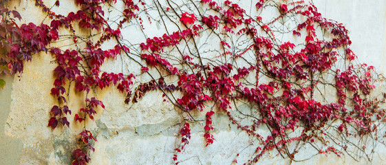 red and white knitted fabric