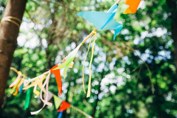 color party birthday flags in green forest