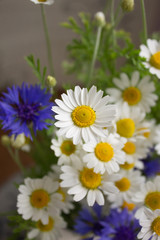 bouquet of daisies and cornflowers