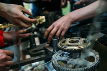 quest game in nature with a large company