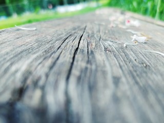 Fototapeta premium Wooden surface, composition perspective dynamic, road, direction of contrast of movement with the rest of nature