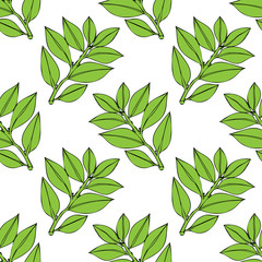 Seamless pattern Tree laurel .Image on a white and colored background.