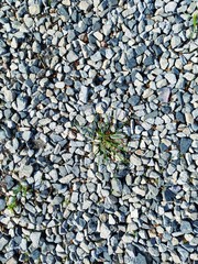 stone background, stones granite, grey, contrast with the peace of nature backdrop abstract, summer day macro foto happy day,