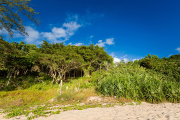 Landscape of Phu Quoc Ong Lang beach