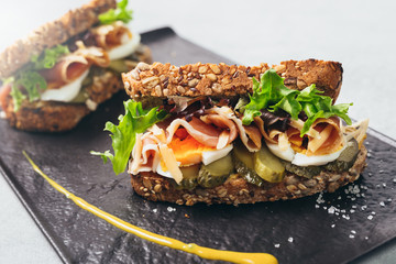 shoot of tasty sandwiches on plate