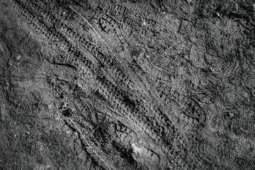 Shoe prints and tire prints in muddy surface - black and white photo.