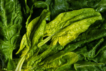 young green raw spinach leaves macro. texture, background